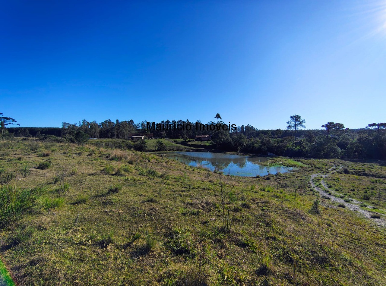 Fazenda à venda com 3 quartos, 270m² - Foto 9