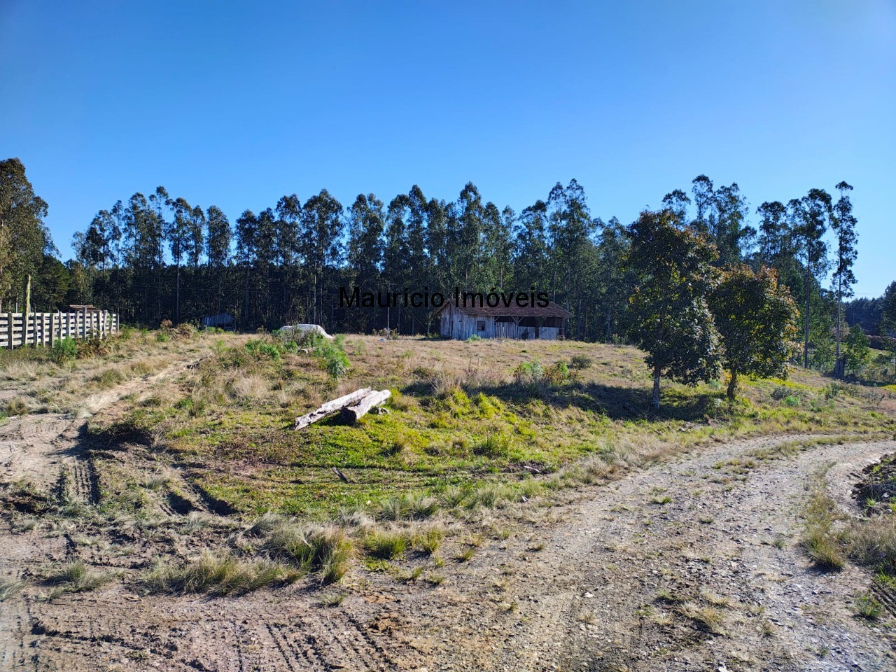 Sítio à venda com 3 quartos, 270m² - Foto 4