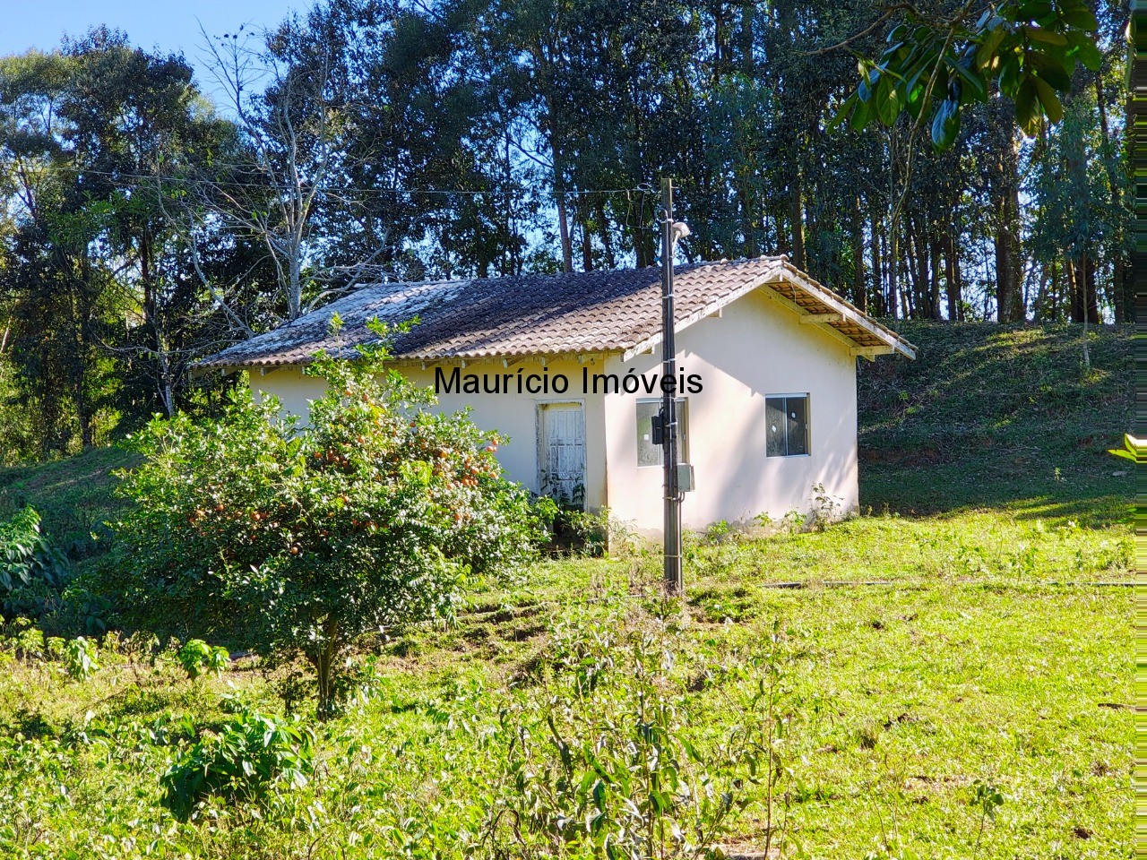 Sítio à venda com 2 quartos, 13m² - Foto 42