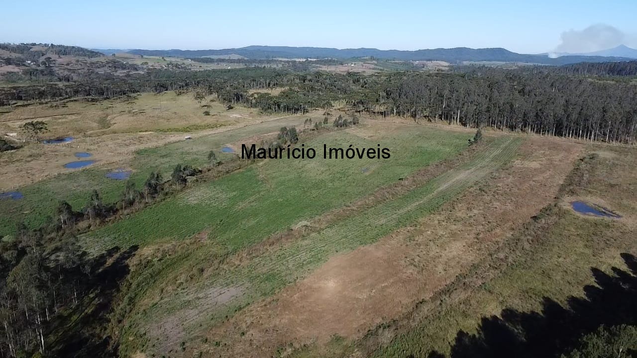 Fazenda à venda com 3 quartos, 270m² - Foto 18
