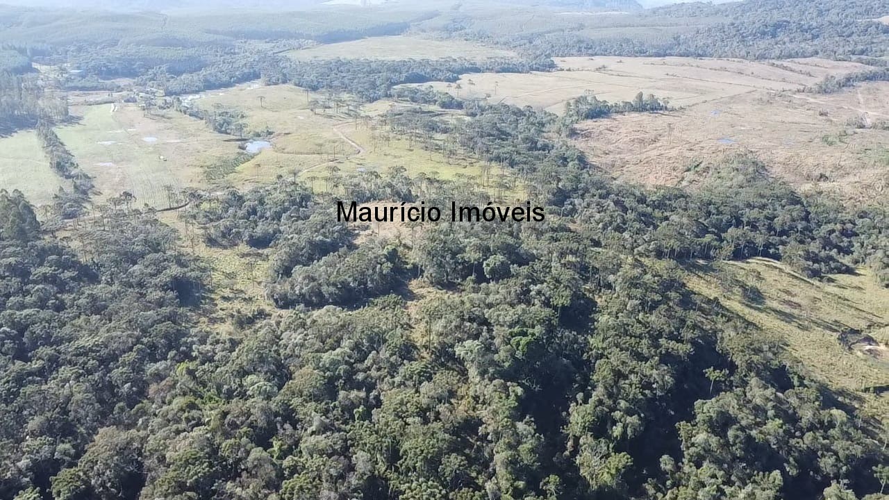 Sítio à venda com 3 quartos, 270m² - Foto 13
