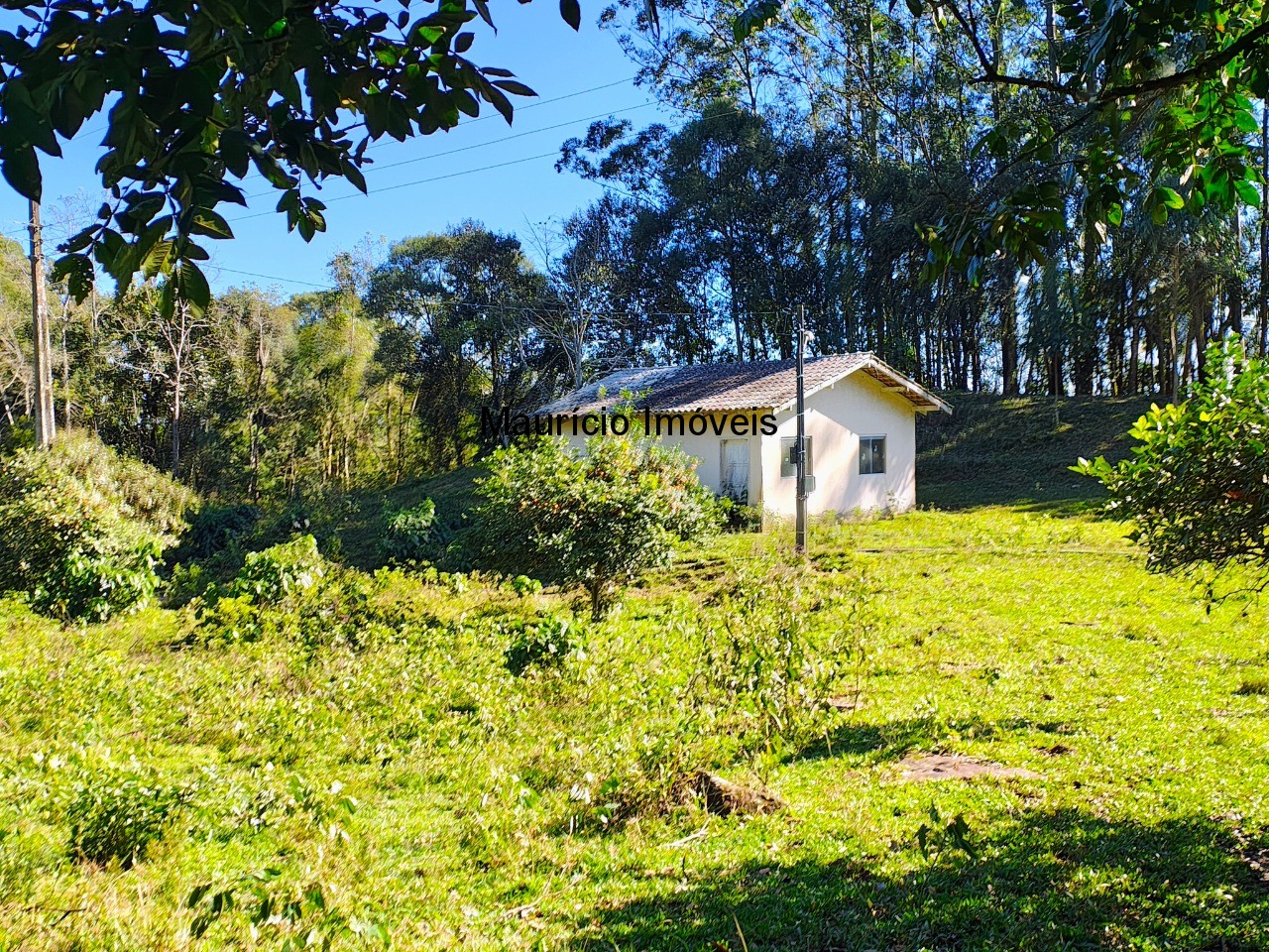Sítio à venda com 2 quartos, 13m² - Foto 43
