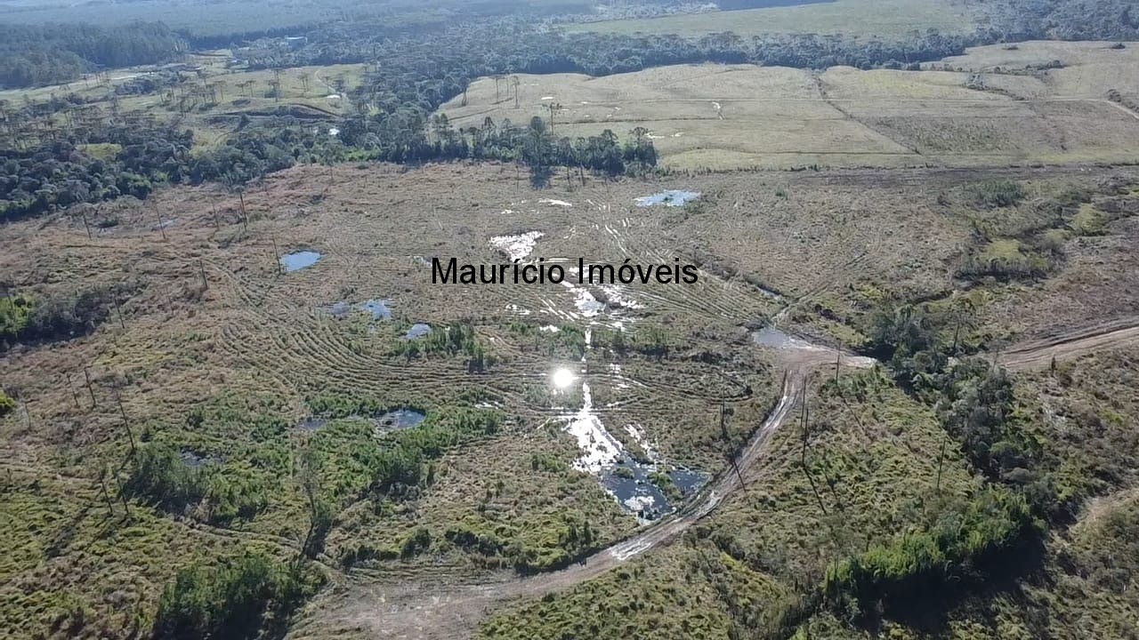 Fazenda à venda com 3 quartos, 270m² - Foto 28