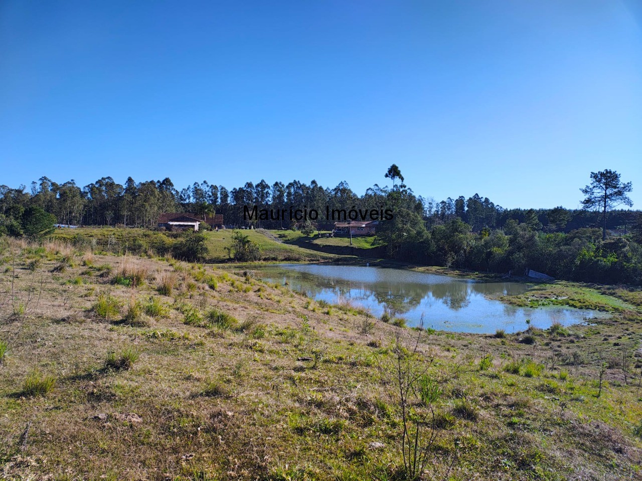 Fazenda à venda com 3 quartos, 270m² - Foto 10