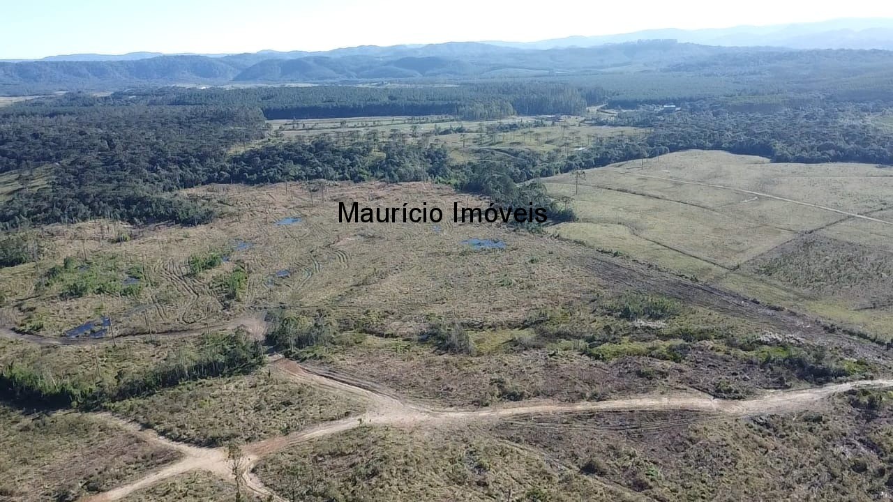 Fazenda à venda com 3 quartos, 270m² - Foto 29