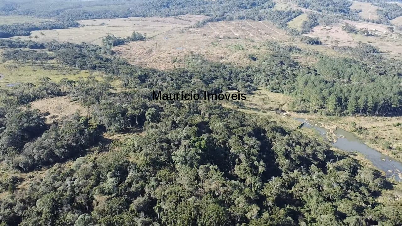 Sítio à venda com 3 quartos, 270m² - Foto 14