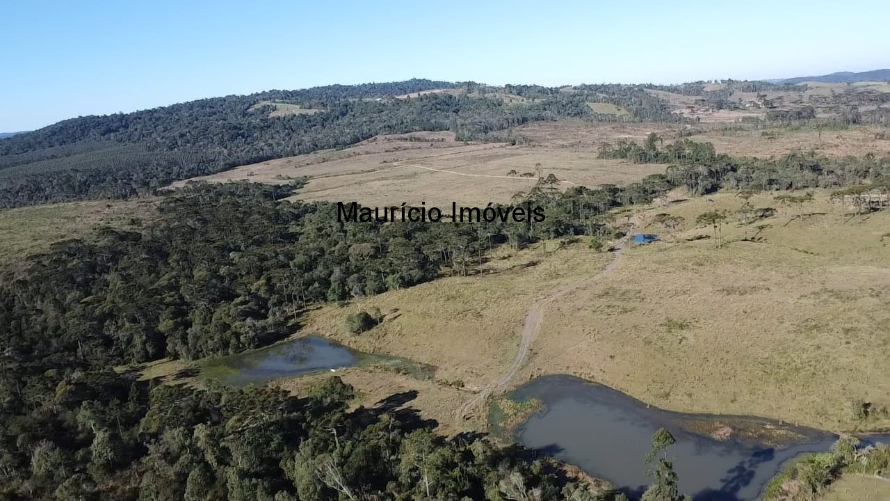 Fazenda à venda com 3 quartos, 270m² - Foto 23