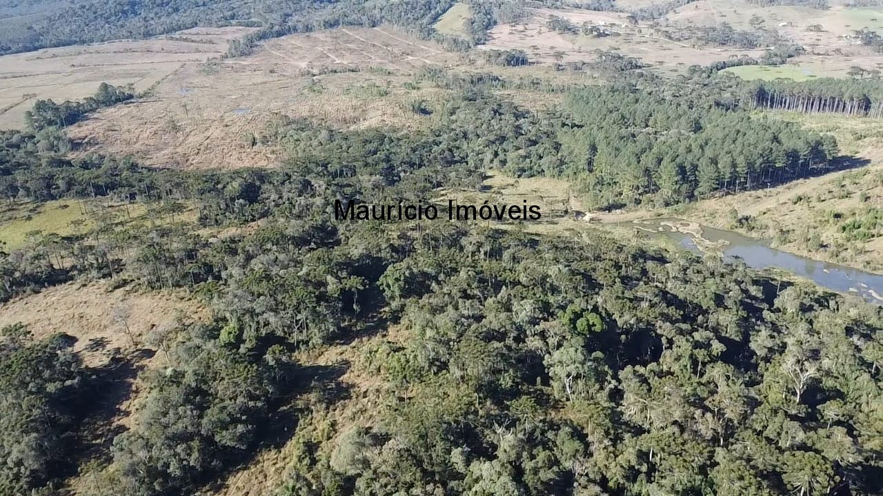 Sítio à venda com 3 quartos, 270m² - Foto 15