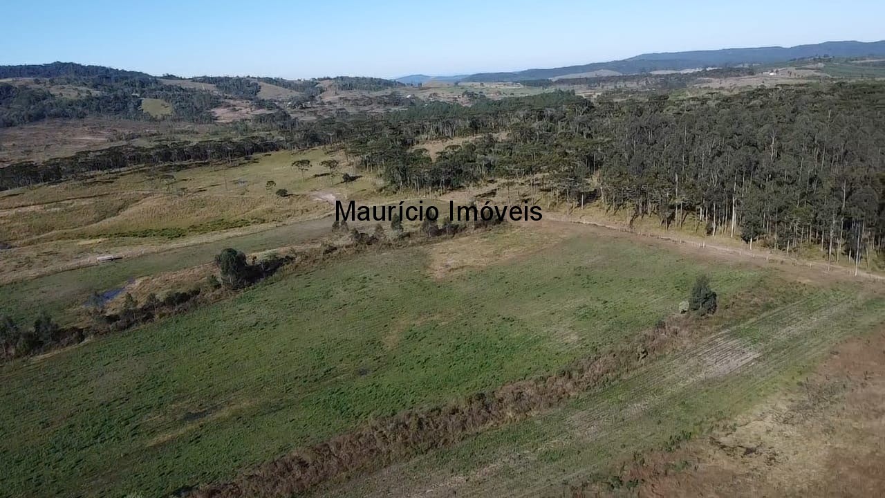 Fazenda à venda com 3 quartos, 270m² - Foto 17