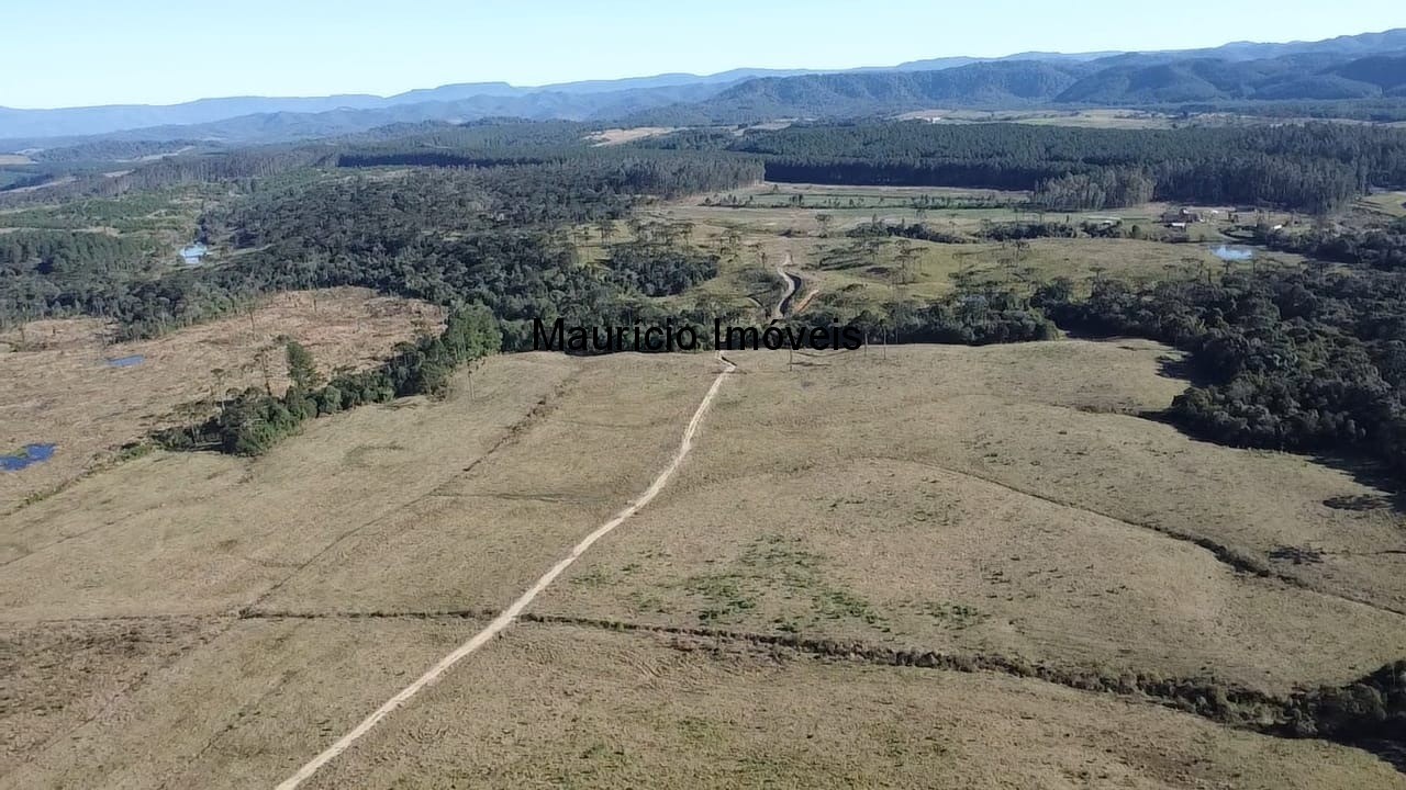 Fazenda à venda com 3 quartos, 270m² - Foto 33