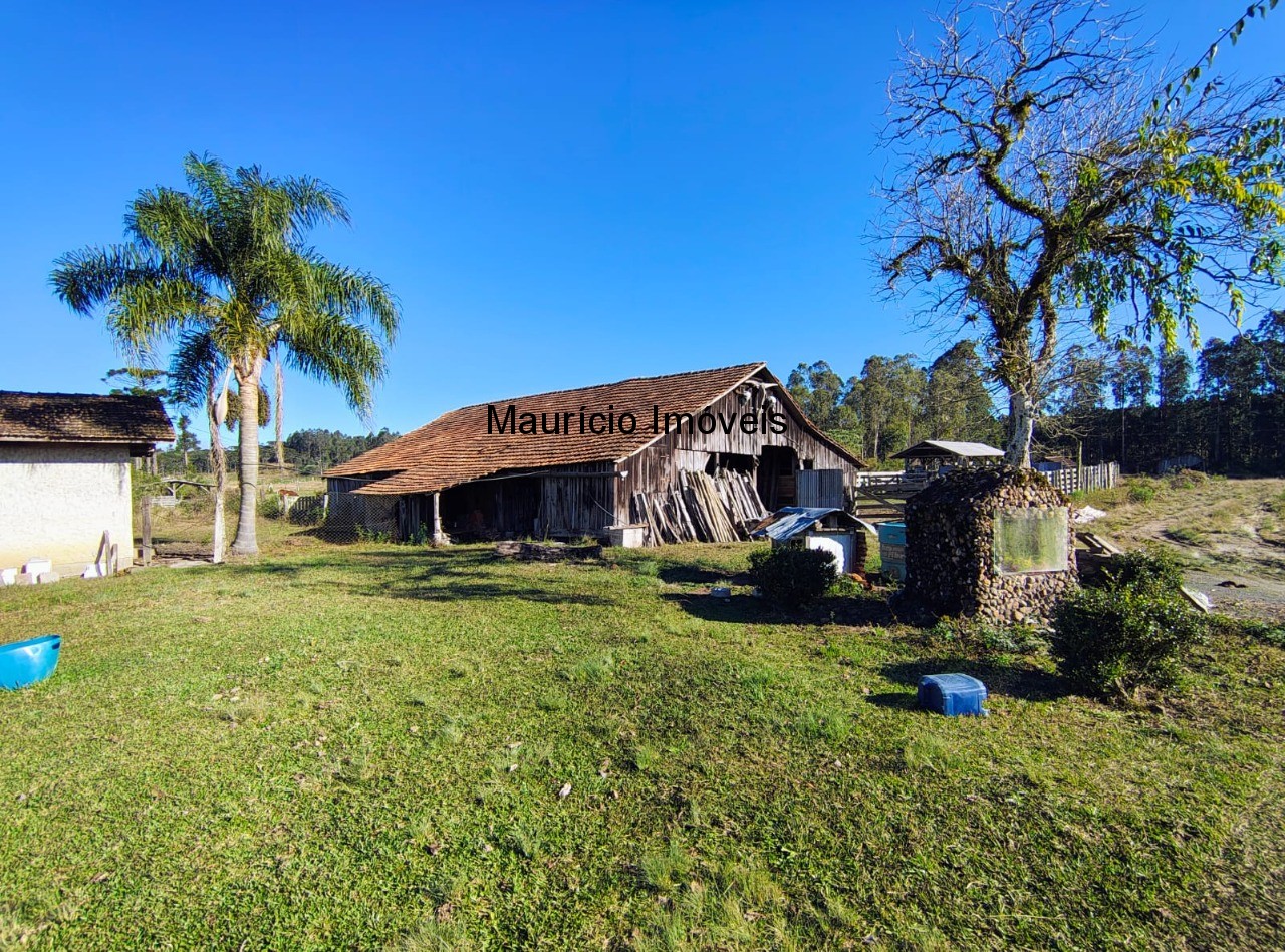 Fazenda à venda com 3 quartos, 270m² - Foto 6