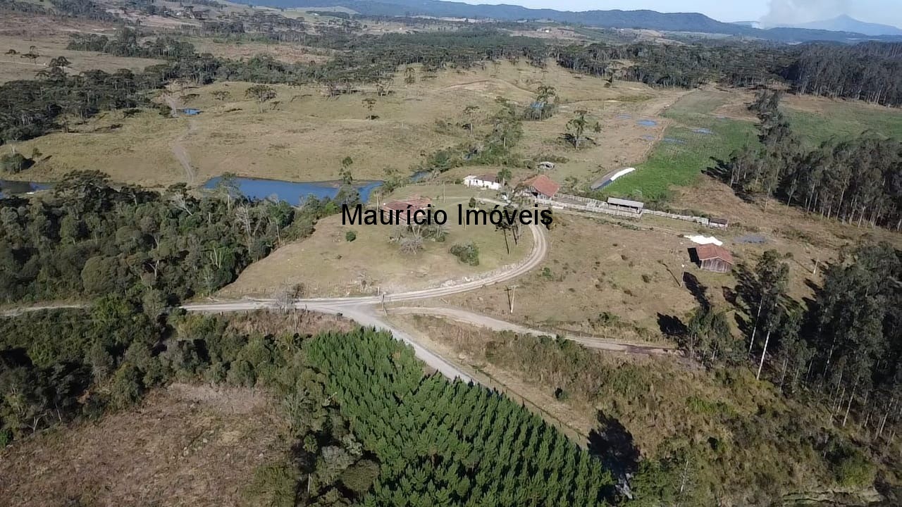 Sítio à venda com 3 quartos, 270m² - Foto 22