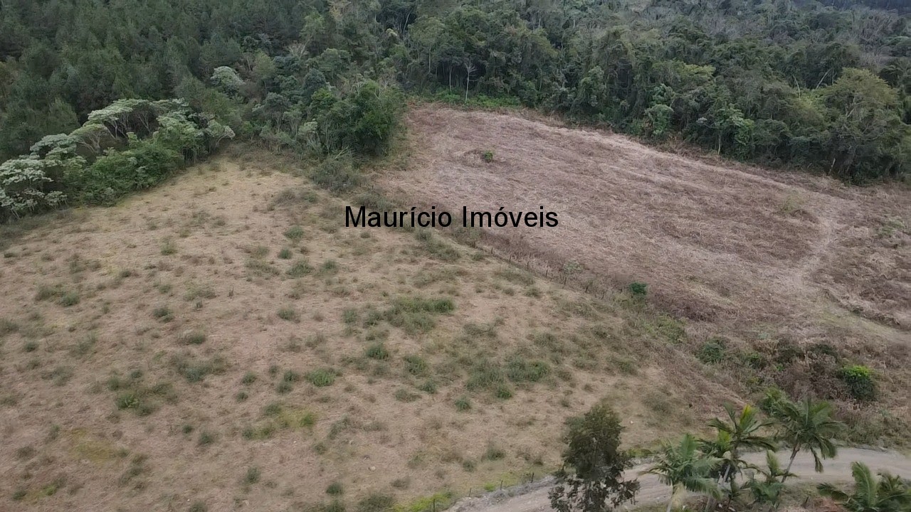 Sítio, 4 quartos, 5 m² - Foto 5