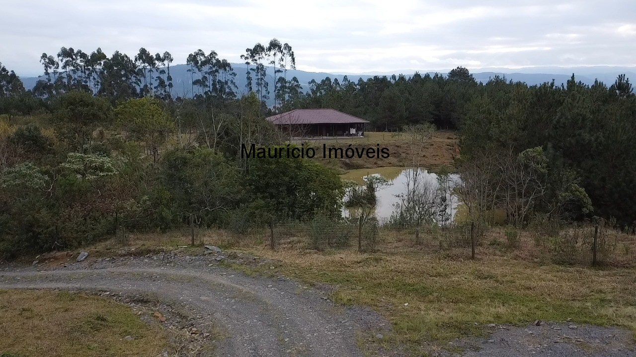 Sítio, 4 quartos, 5 m² - Foto 2