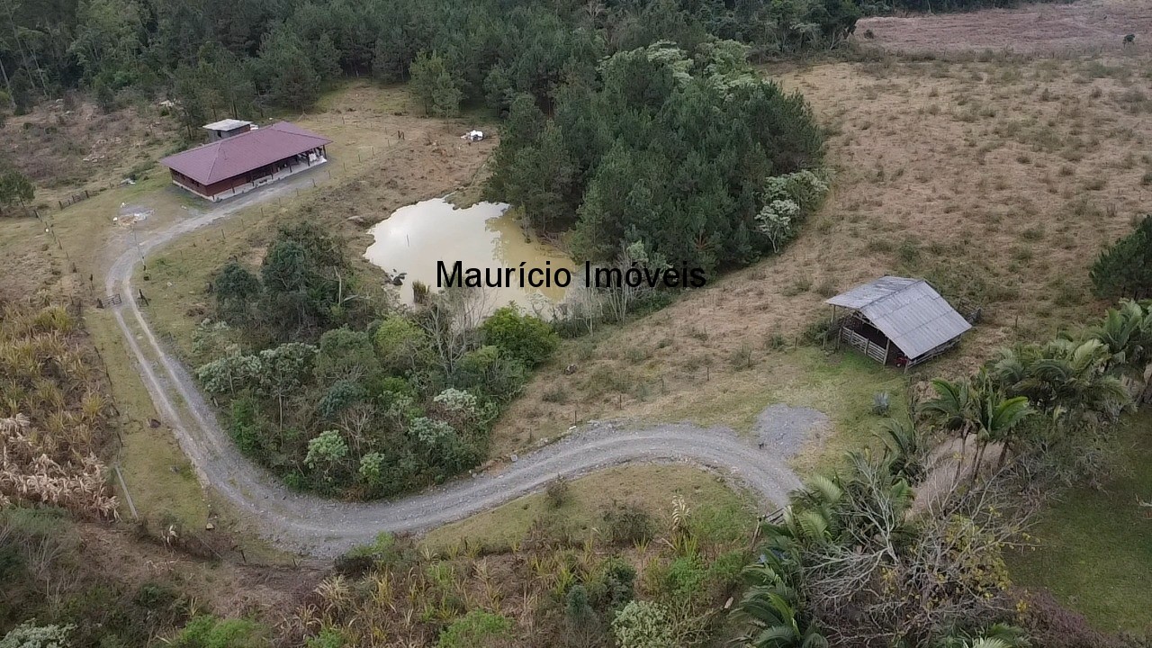 Sítio, 4 quartos, 5 m² - Foto 4