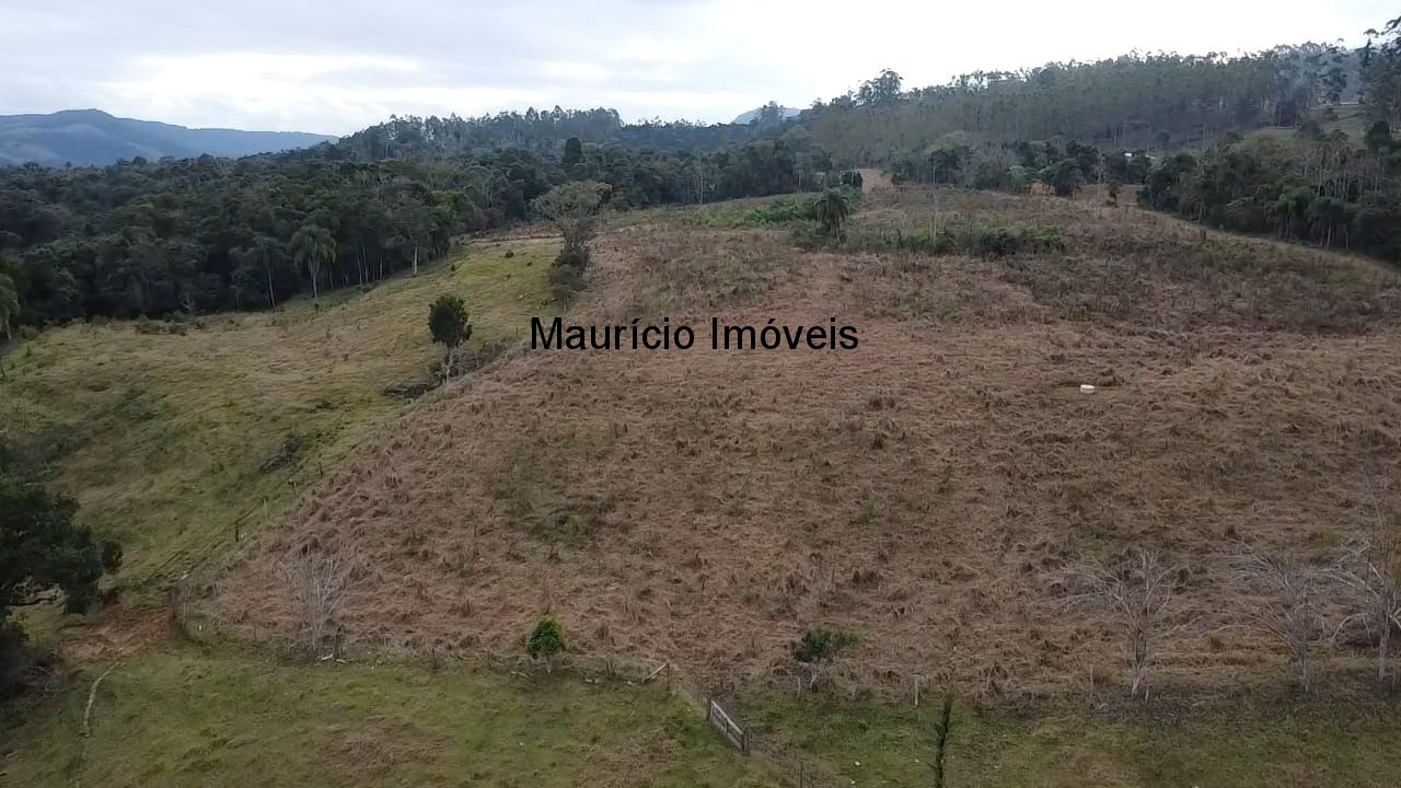 Sítio, 3 quartos, 10 m² - Foto 29