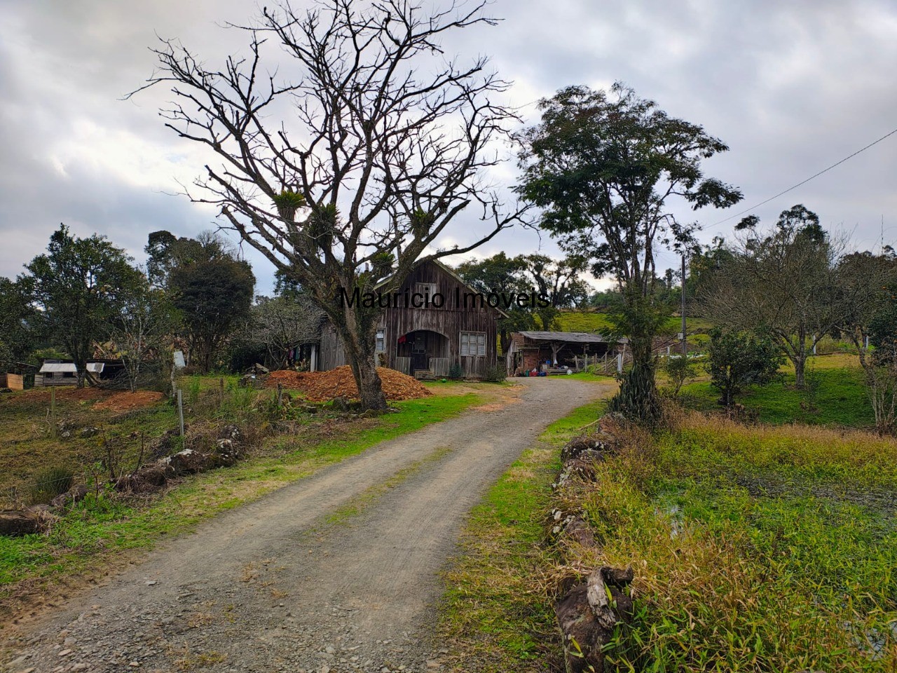 Sítio, 3 quartos, 10 m² - Foto 3