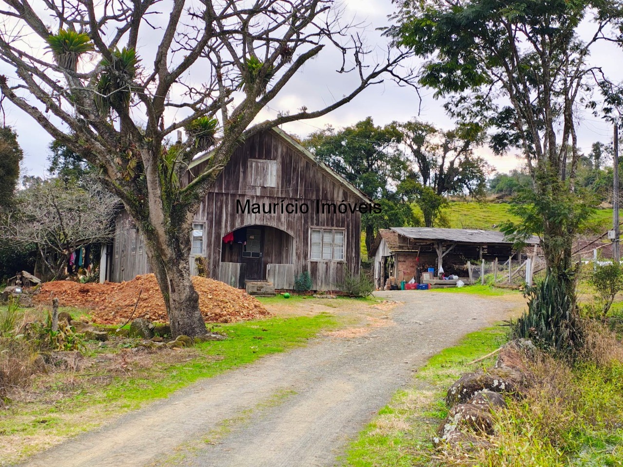 Sítio, 3 quartos, 10 m² - Foto 1