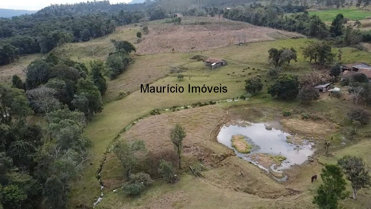 Sítio, 3 quartos, 10 m² - Foto 32