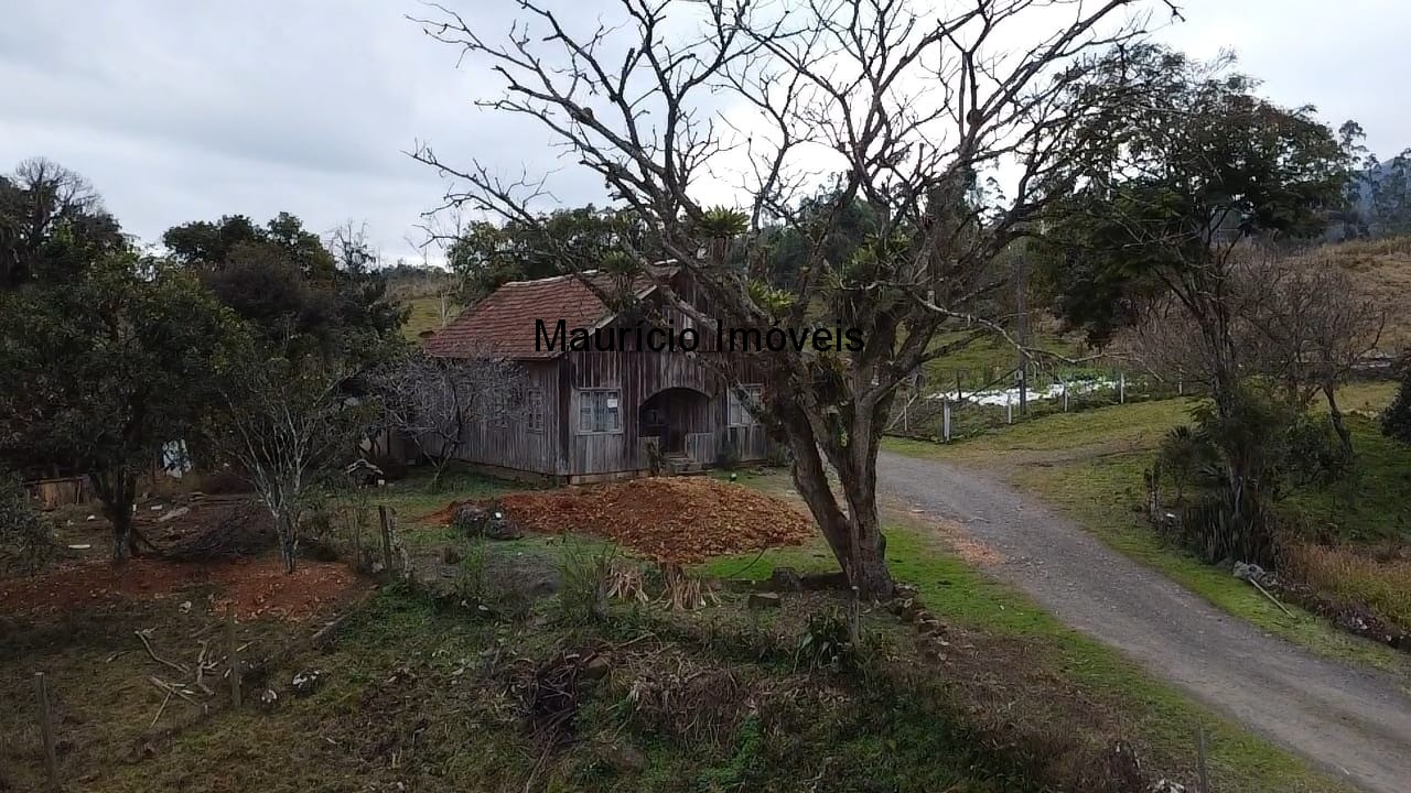 Sítio, 3 quartos, 10 m² - Foto 36