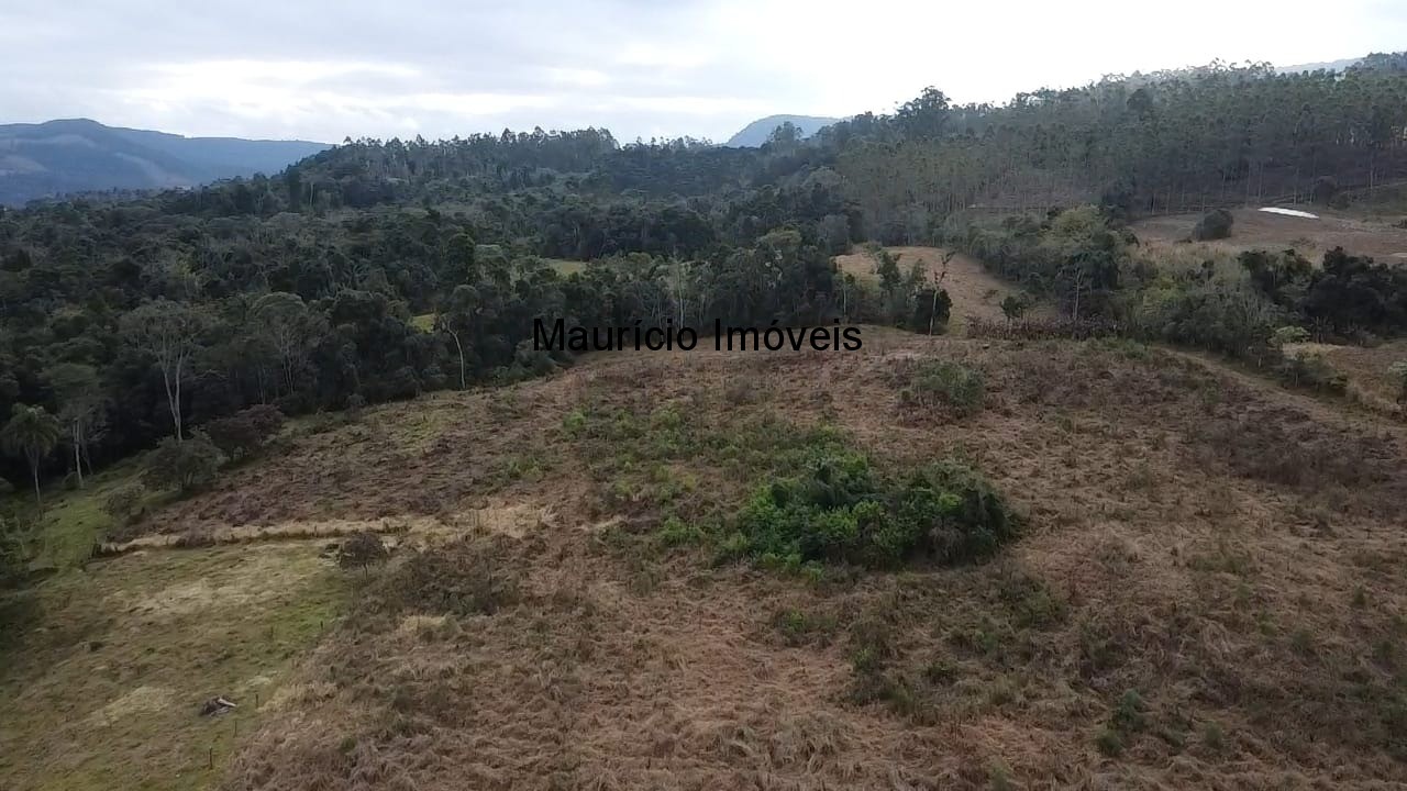 Sítio, 3 quartos, 10 m² - Foto 26