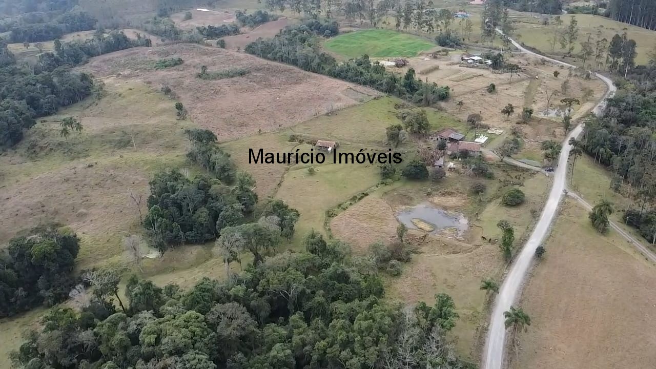 Sítio, 3 quartos, 10 m² - Foto 5