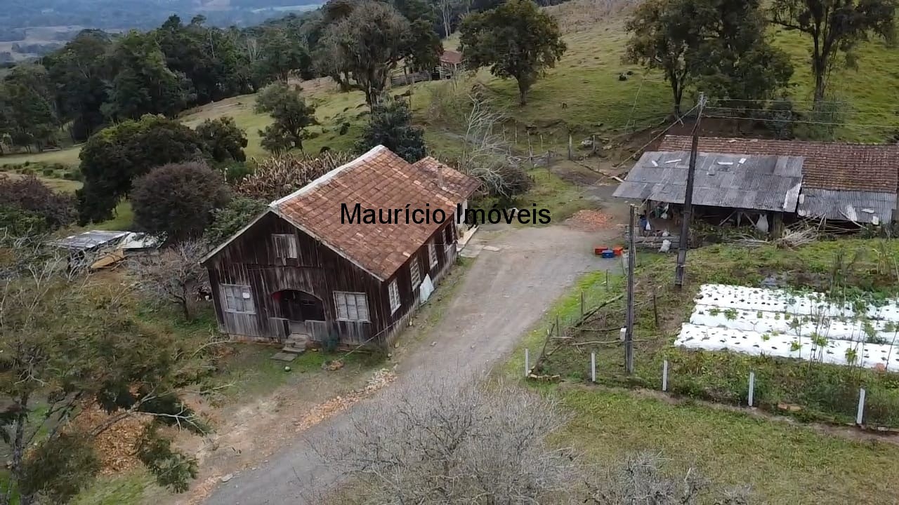 Sítio, 3 quartos, 10 m² - Foto 35