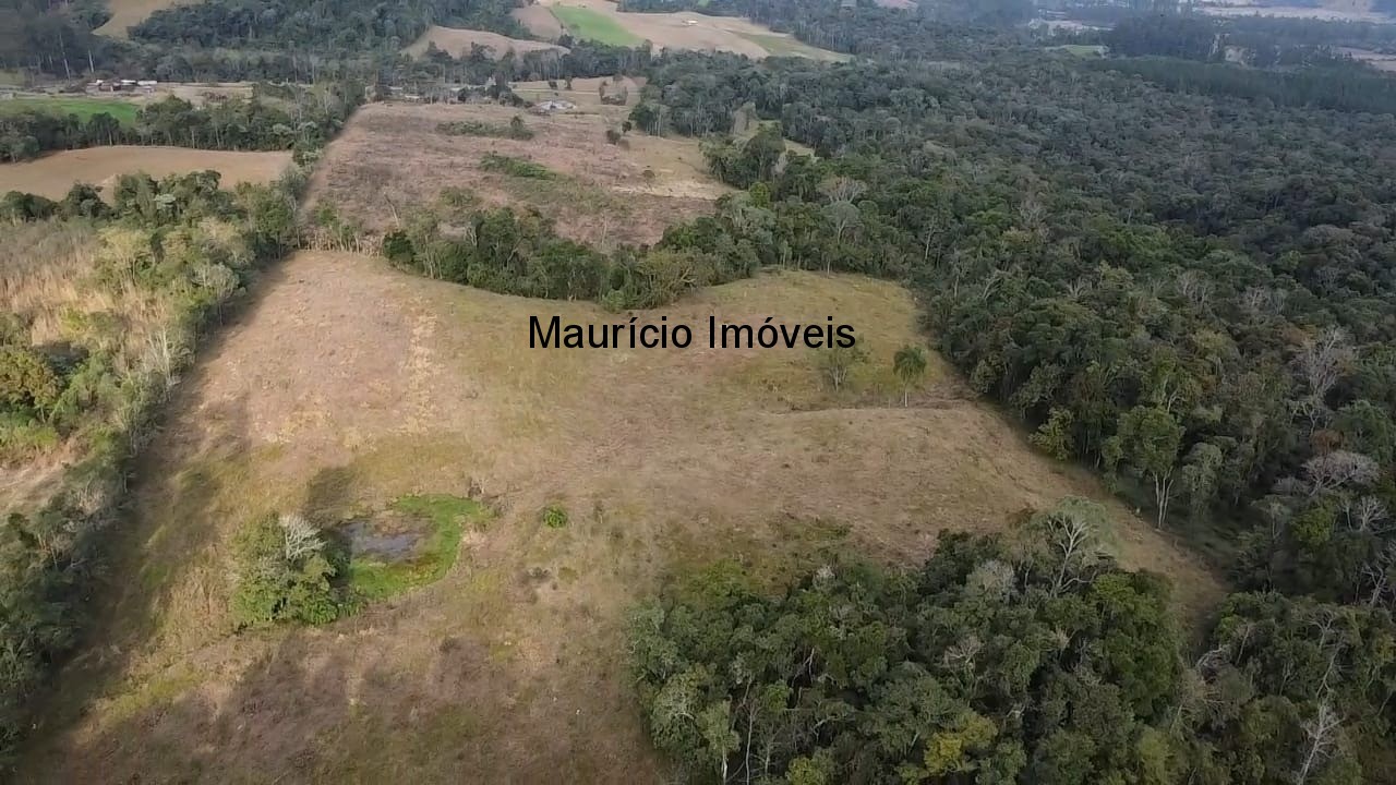 Sítio, 3 quartos, 10 m² - Foto 24