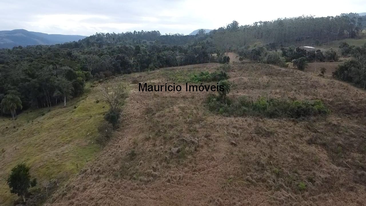 Sítio, 3 quartos, 10 m² - Foto 27