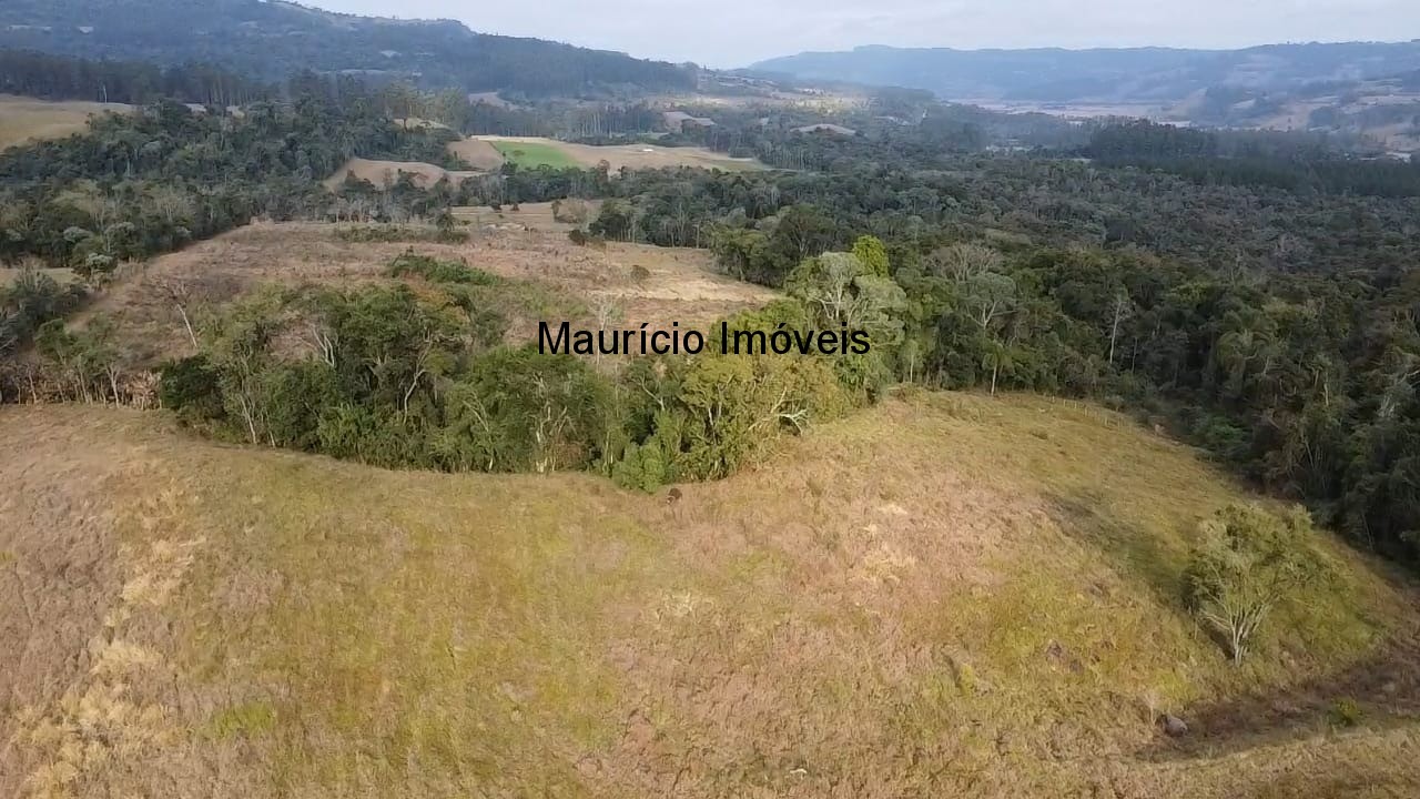 Sítio, 3 quartos, 10 m² - Foto 22