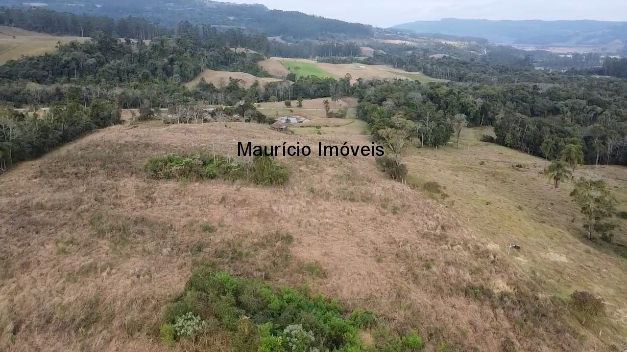 Sítio, 3 quartos, 10 m² - Foto 17