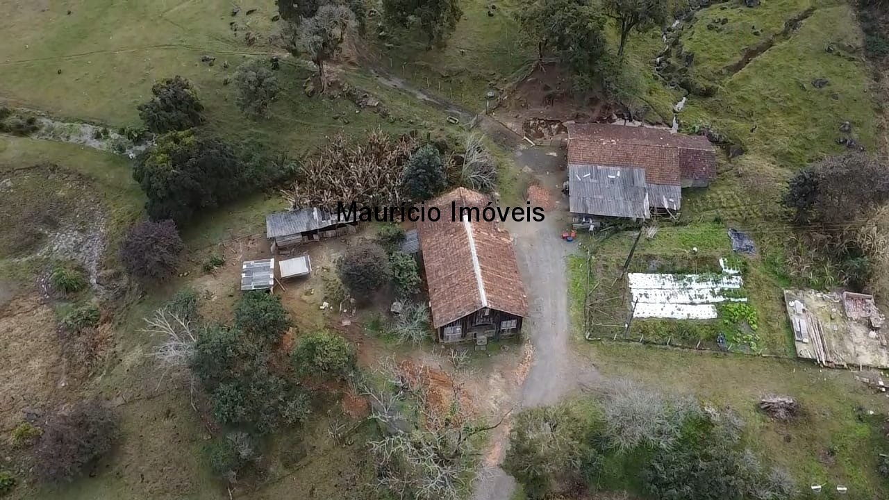 Sítio, 3 quartos, 10 m² - Foto 10