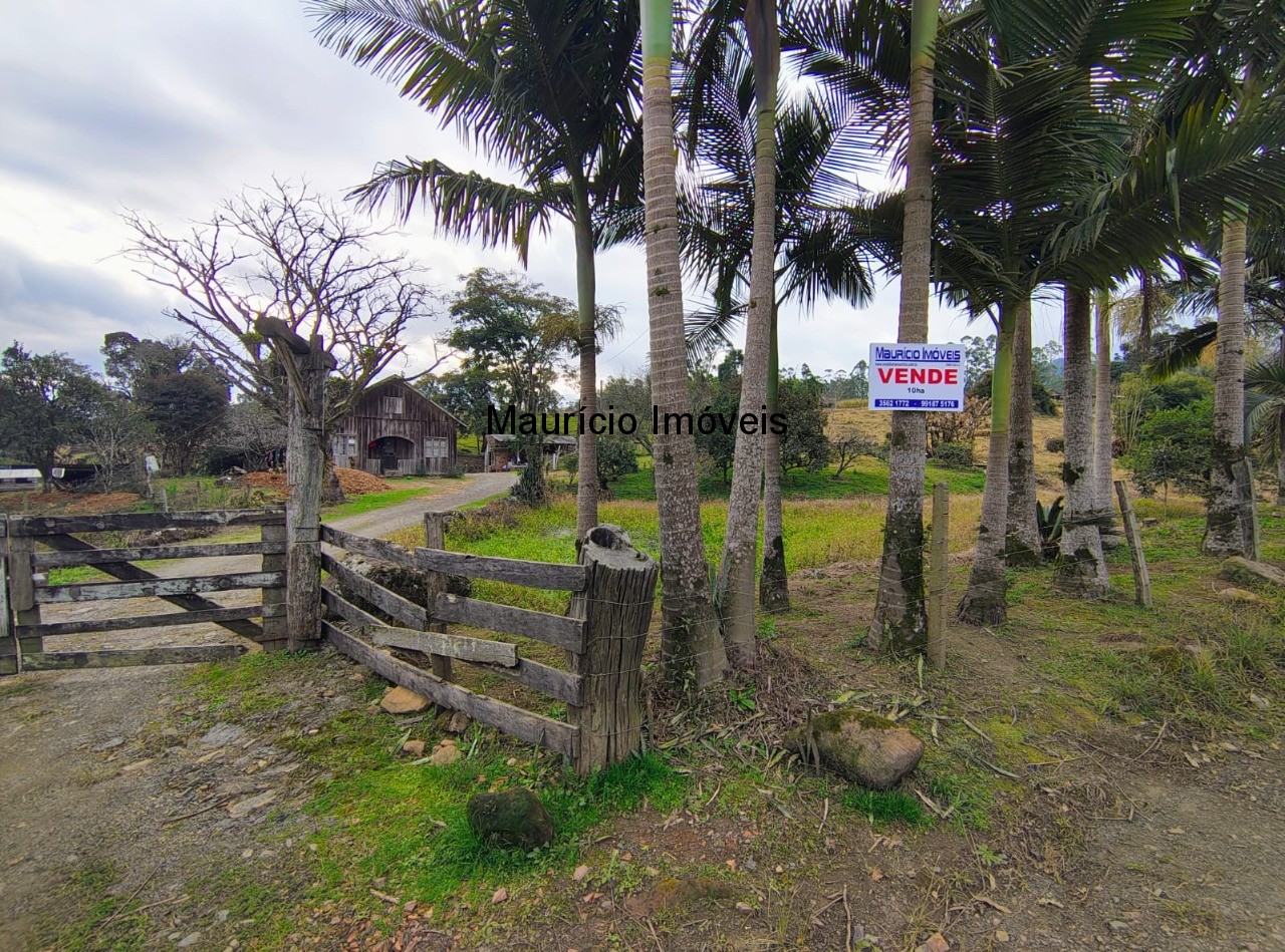 Sítio, 3 quartos, 10 m² - Foto 2