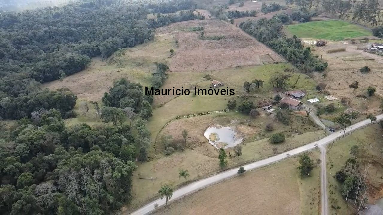 Sítio, 3 quartos, 10 m² - Foto 8