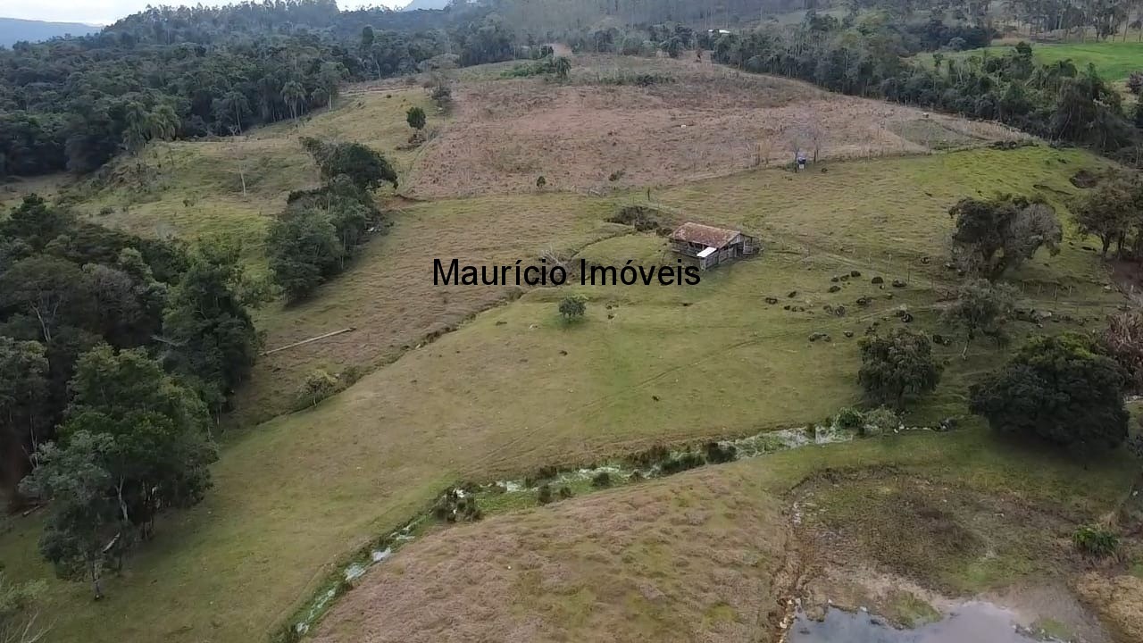 Sítio, 3 quartos, 10 m² - Foto 30