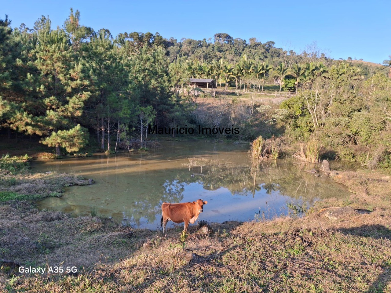 Sítio, 4 quartos, 5 m² - Foto 22