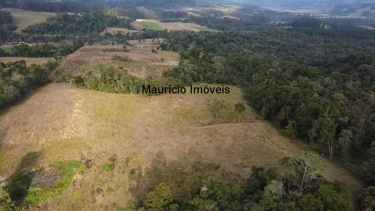 Sítio, 3 quartos, 10 m² - Foto 23