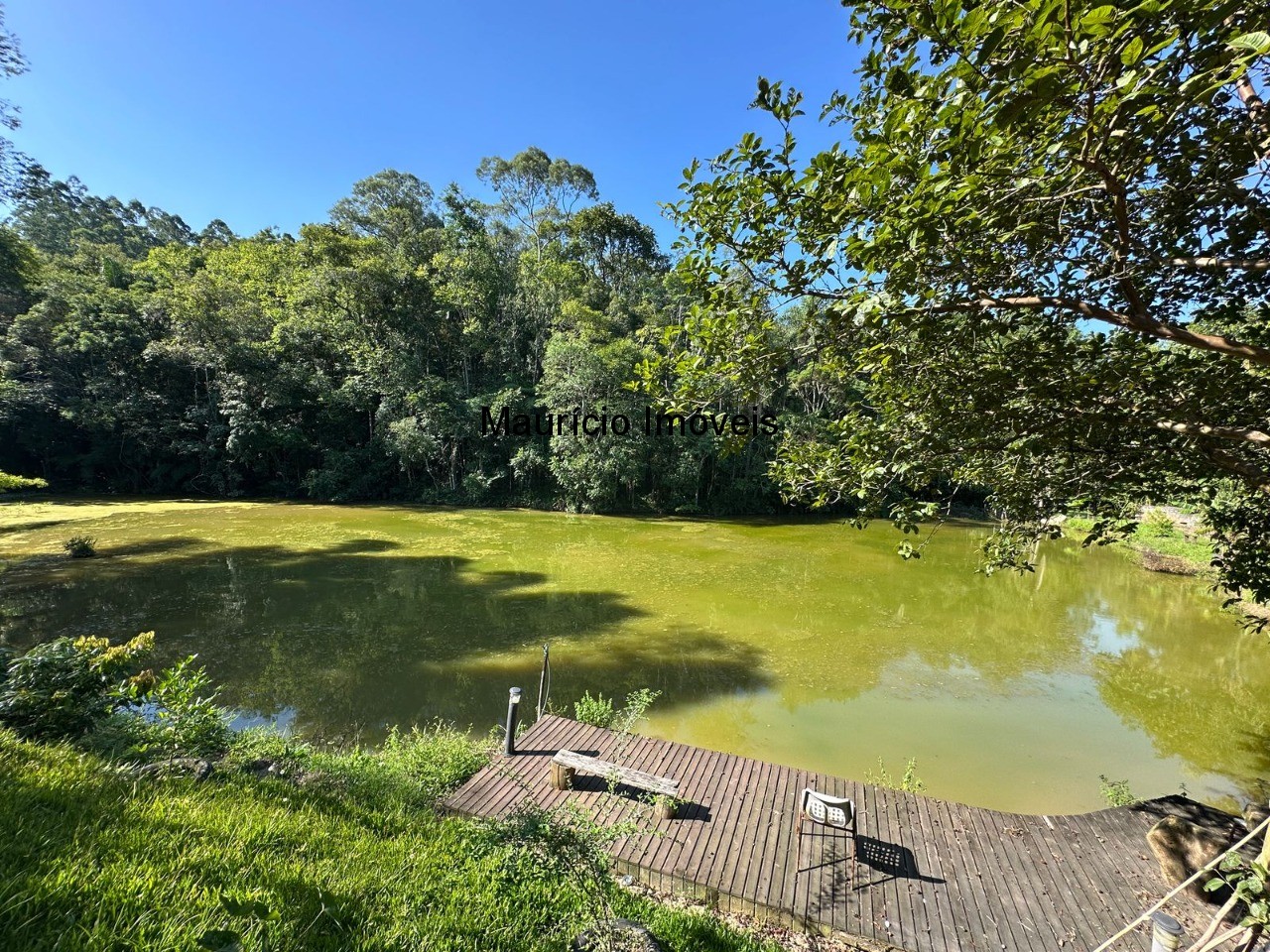 Chácara, 5 quartos, 1 hectares - Foto 5