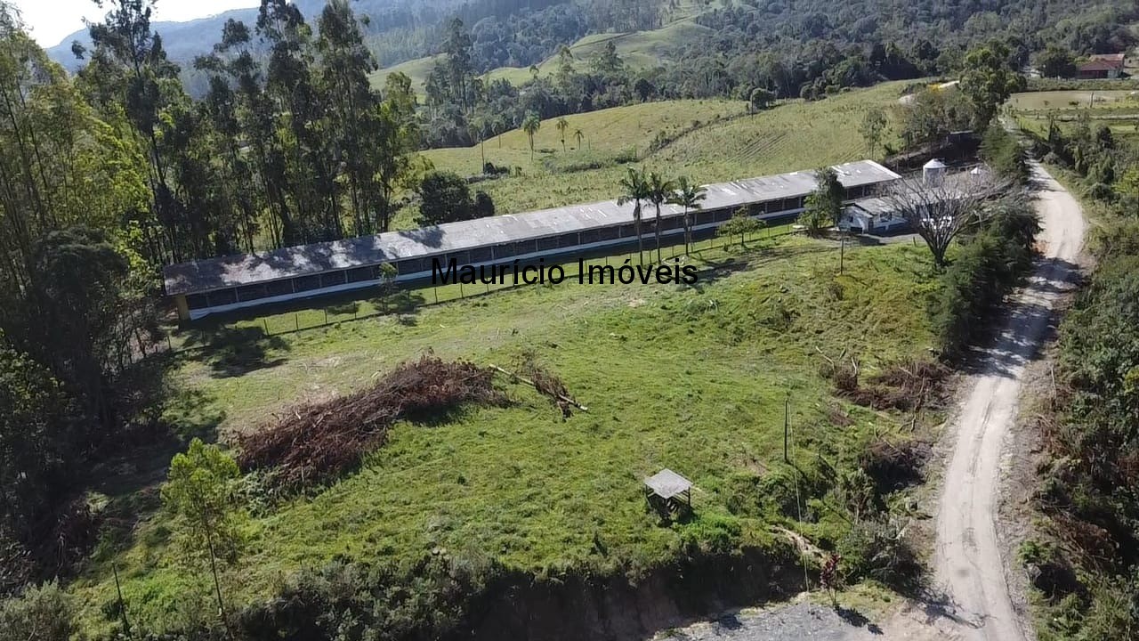 Sítio, 4 quartos, 5 hectares - Foto 26