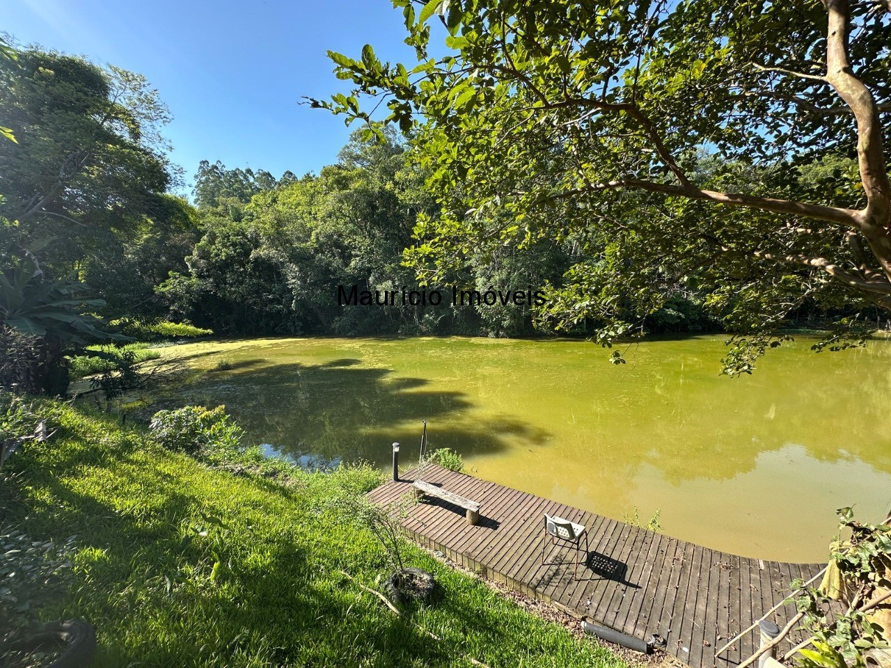 Chácara, 5 quartos, 1 hectares - Foto 12