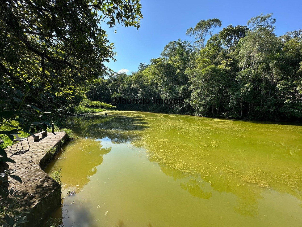 Chácara, 5 quartos, 1 hectares - Foto 1