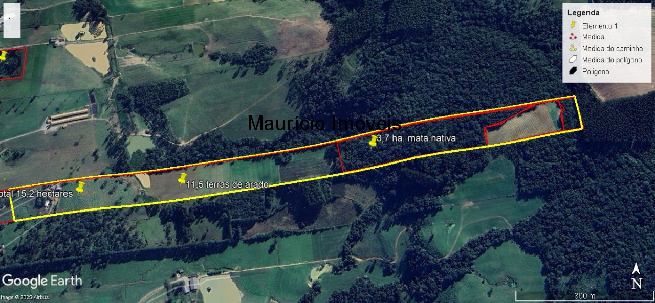 Sítio, 3 quartos, 15 m² - Foto 3