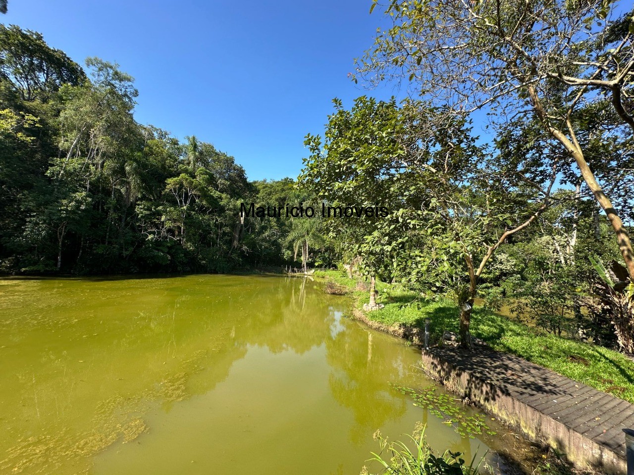 Chácara, 5 quartos, 1 hectares - Foto 7