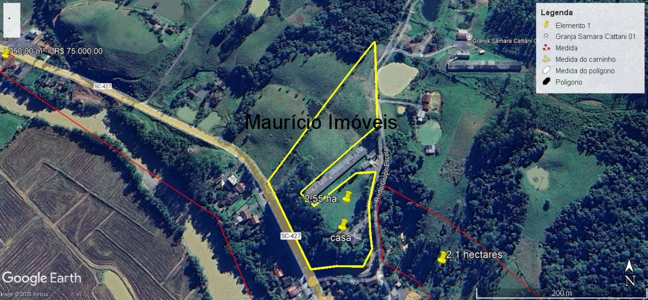 Sítio, 4 quartos, 5 hectares - Foto 3