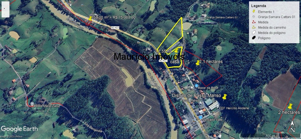 Sítio, 4 quartos, 5 hectares - Foto 2