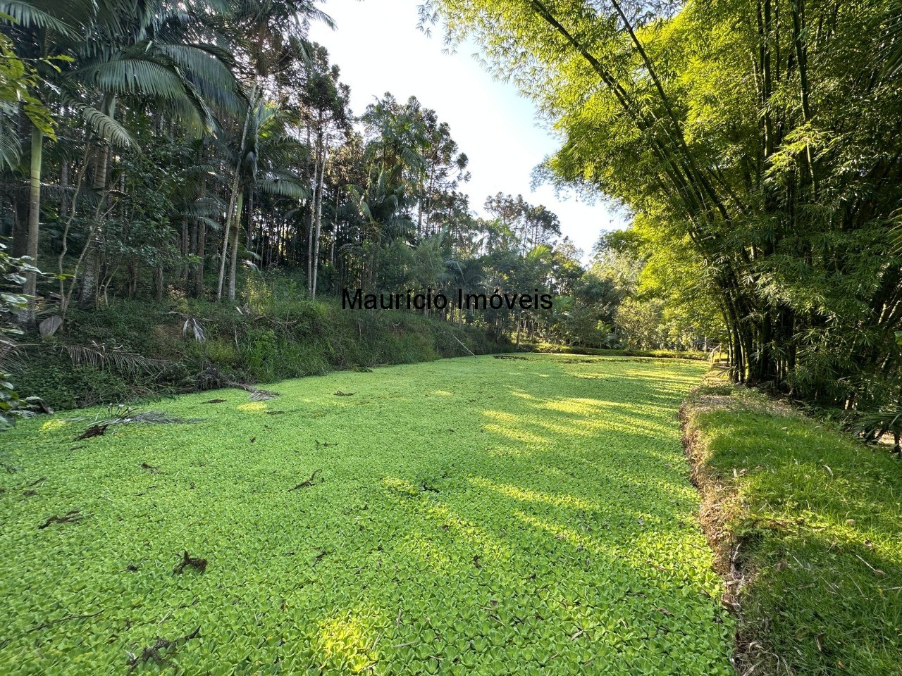 Chácara, 5 quartos, 1 hectares - Foto 2