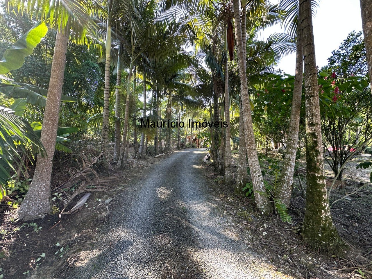 Chácara, 5 quartos, 1 hectares - Foto 16