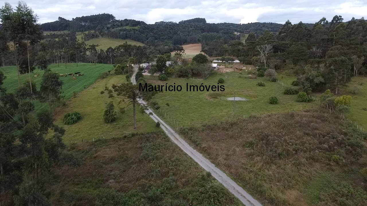 Sítio, 3 quartos, 15 m² - Foto 5