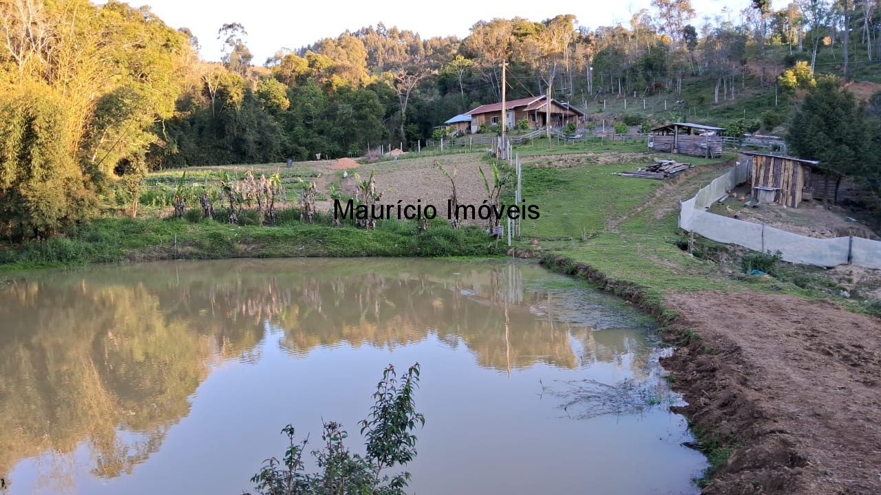 Sítio, 3 quartos, 3 hectares - Foto 1