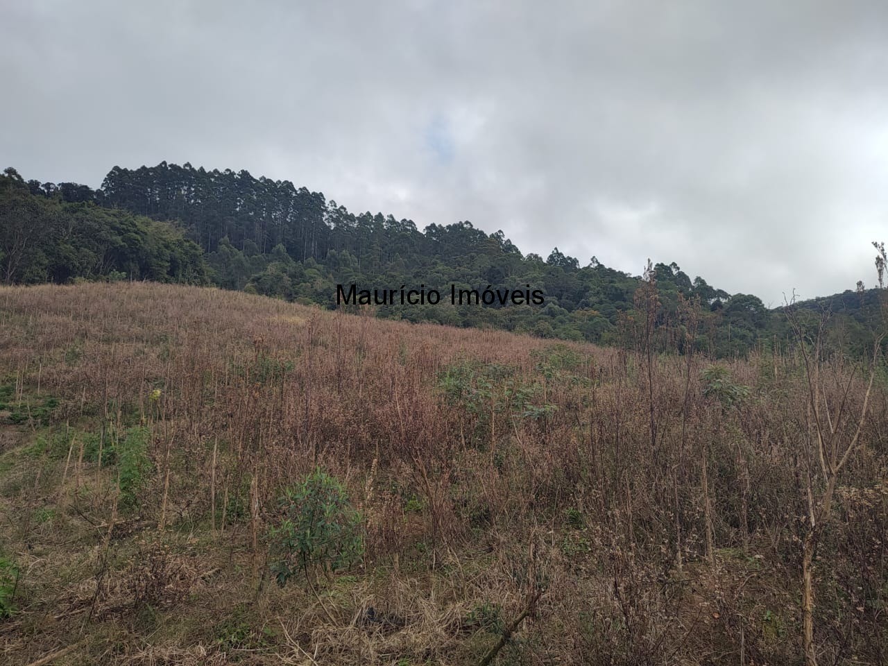 Sítio, 3 quartos, 17 m² - Foto 3